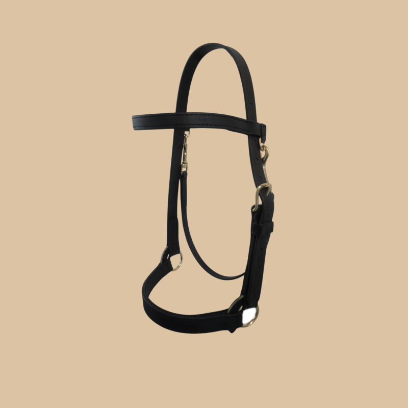 Heavy Duty 1" Wide Training Halter with Brow Band