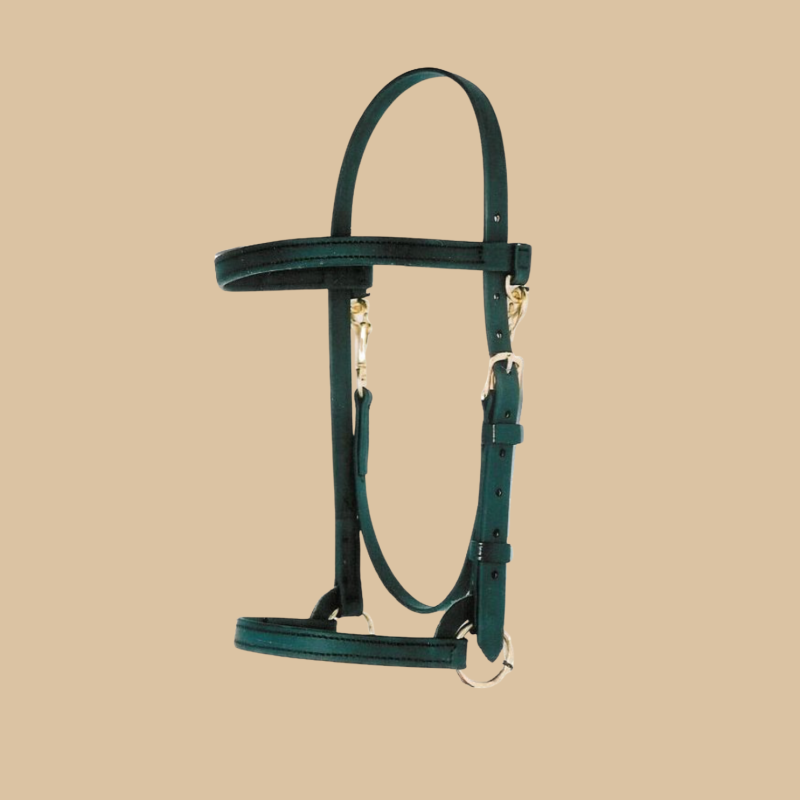Heavy Duty 3/4" Wide Training Halter