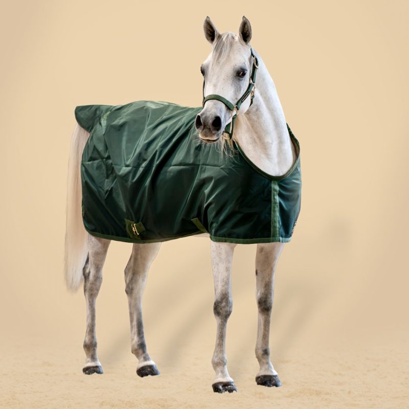 Stable Sheet