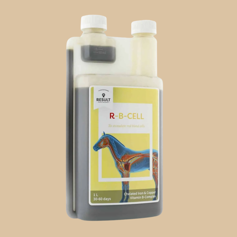 R-B-Cell