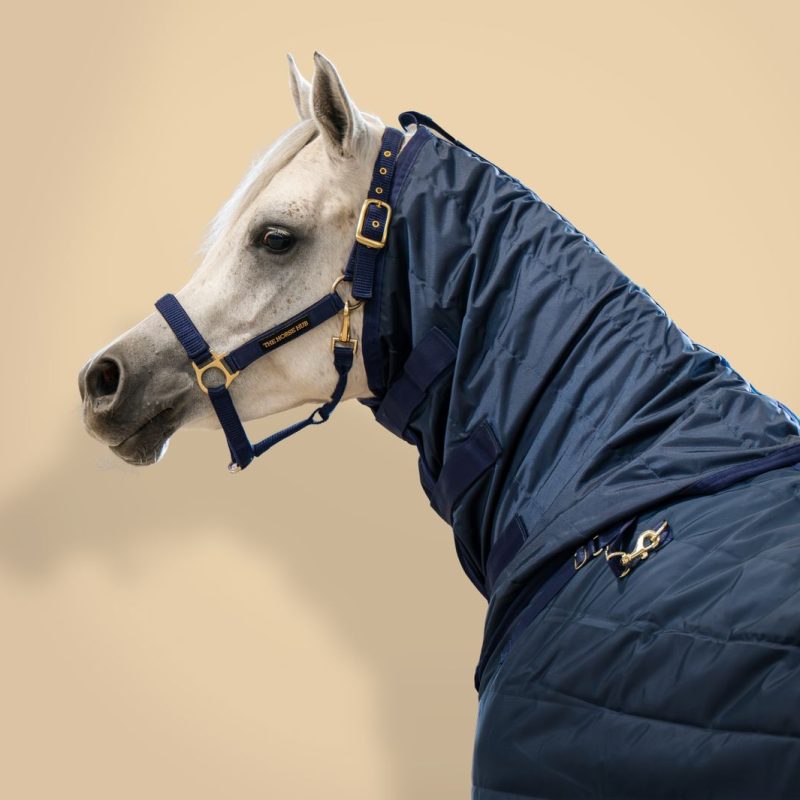 Neck Shaper for Winter Stable Blanket