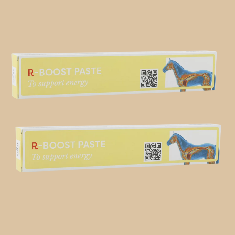 R-Boost-Paste