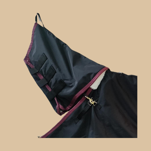 Untitled design (11)